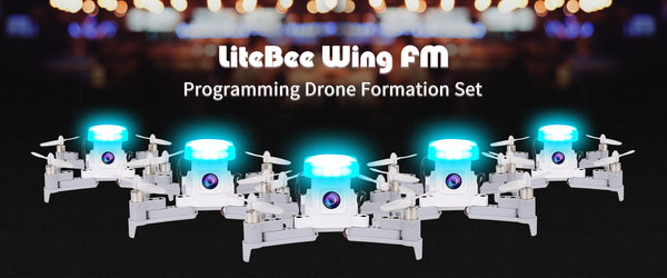 LiteBee Wing FM Programming Drone Formation Set